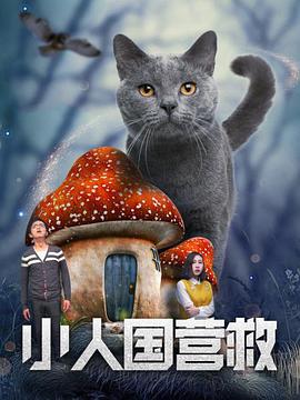 伊人网伊人网